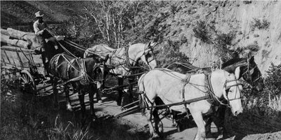 four horses pull a man in a wagon