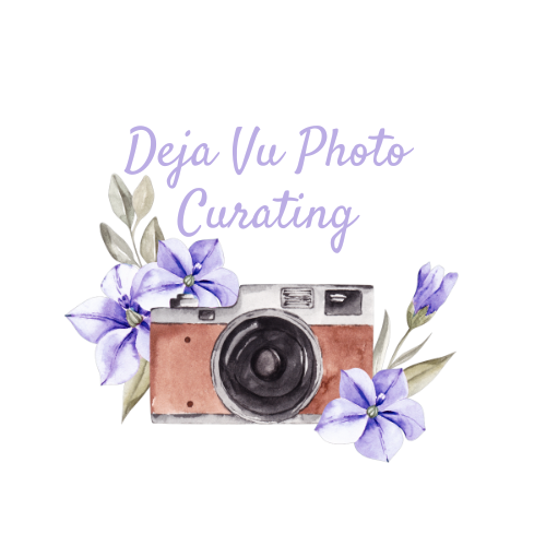 Deja Vu Photo Curating logo