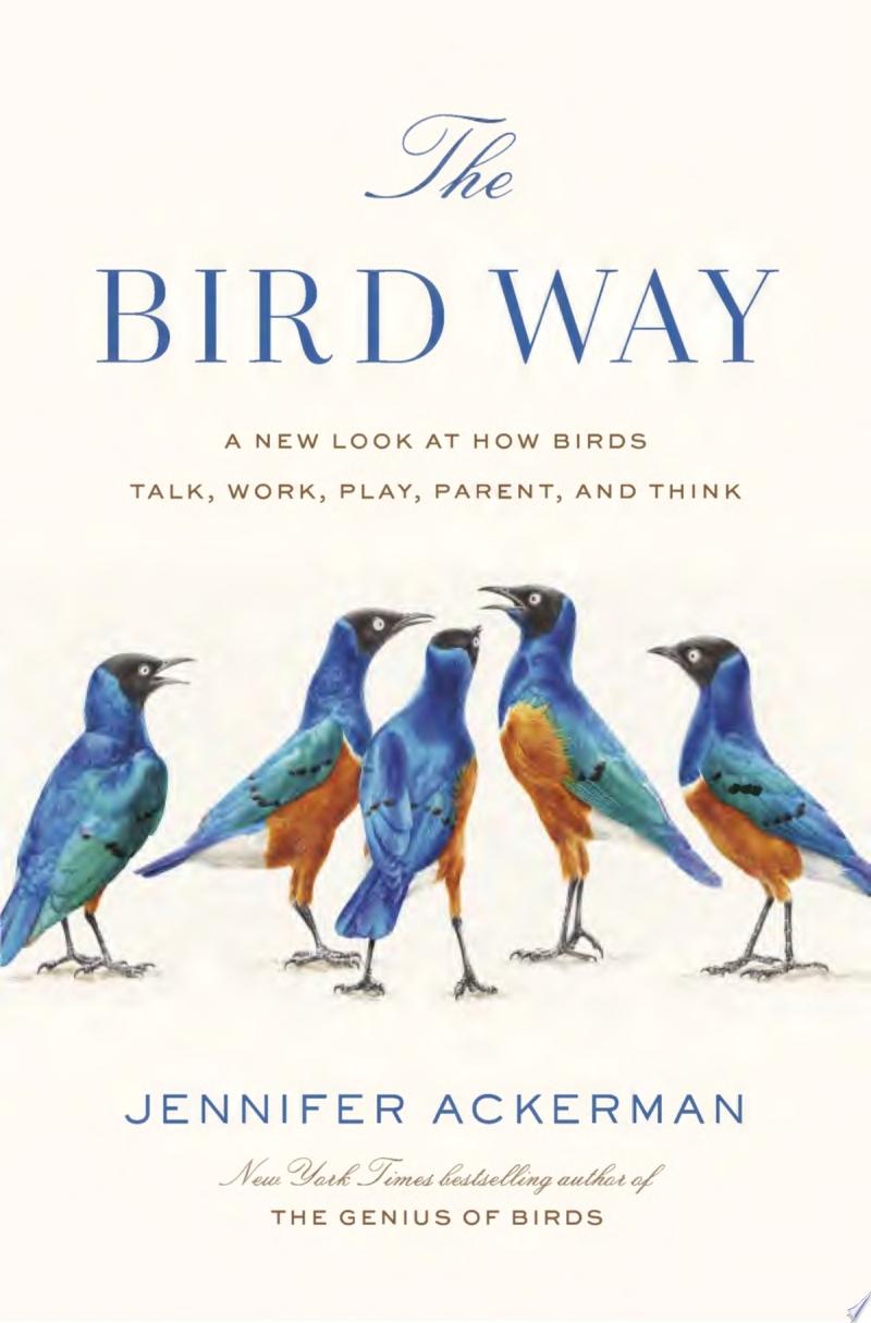 Wild Birds Unlimited - Not to be outdone by the squirrels, we created a  scale of birds! So on a scale of birds, how do you feel today?