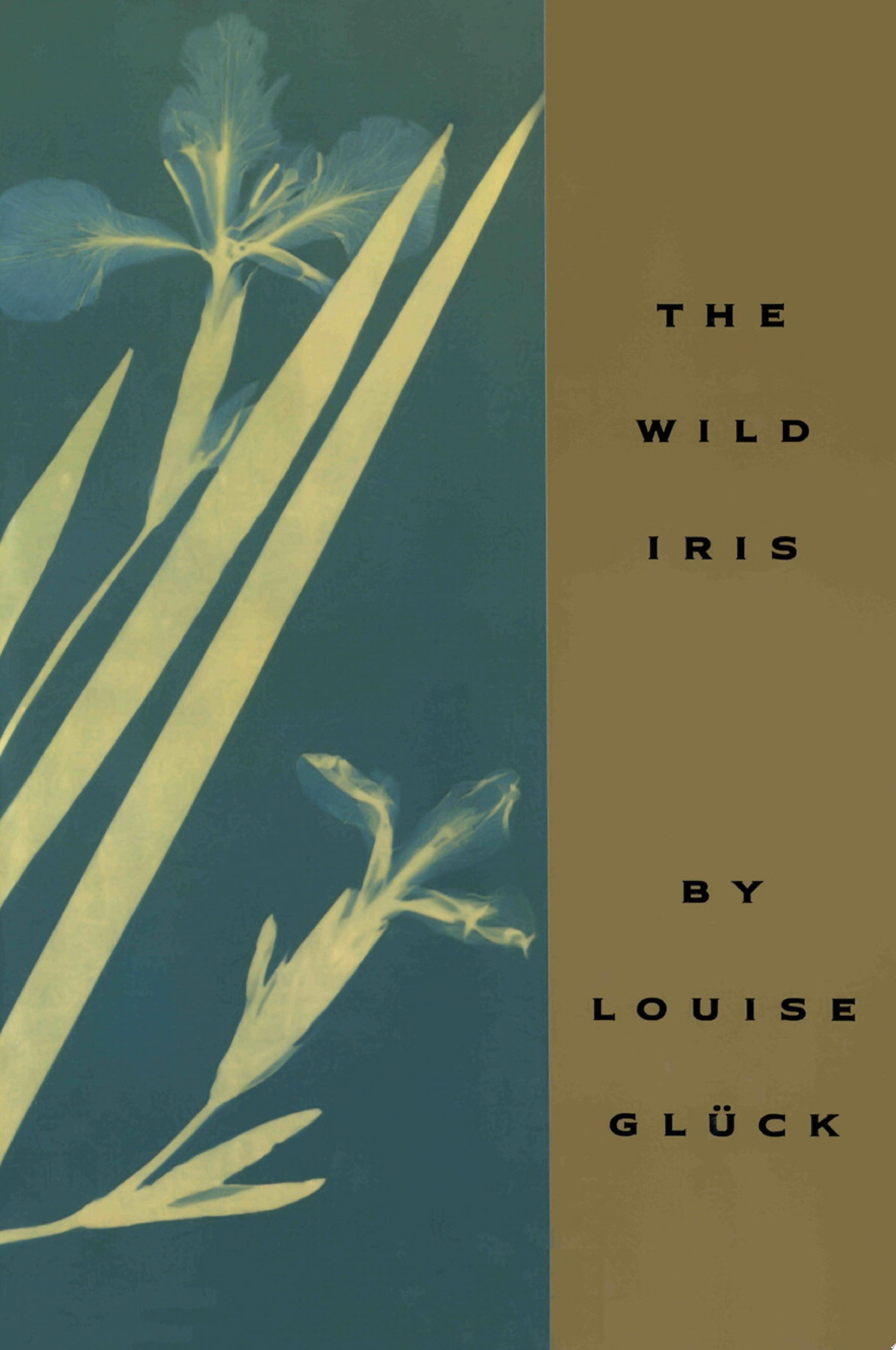 Image for "Wild Iris"
