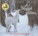 Image for "A Magical Winter"