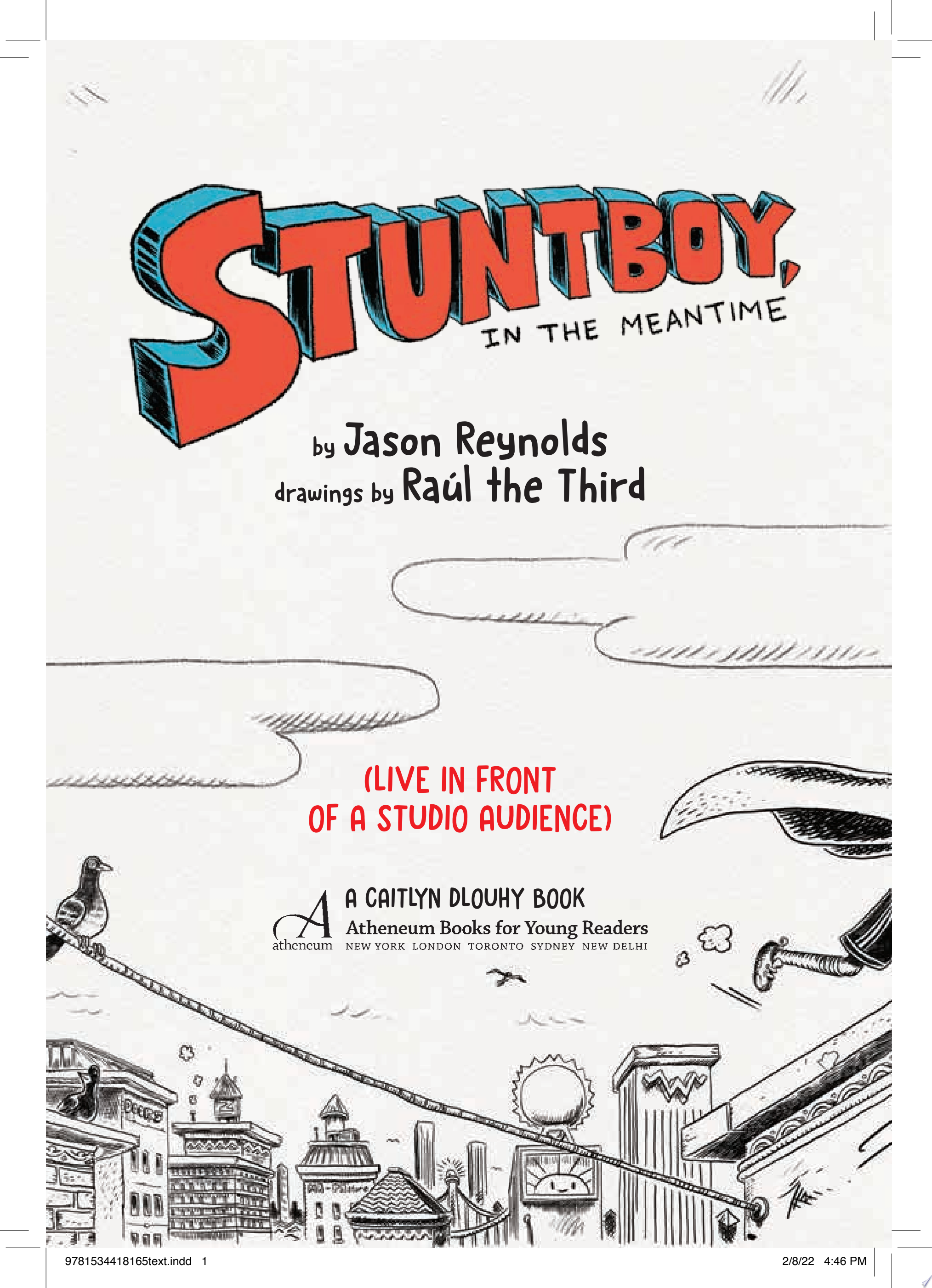 Image for "Stuntboy, in the Meantime"