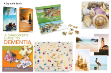 beach books, puzzle, dvds, seashells, postcards