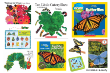 6 butterfly books, 1 puzzle, 1 game, 1 toy