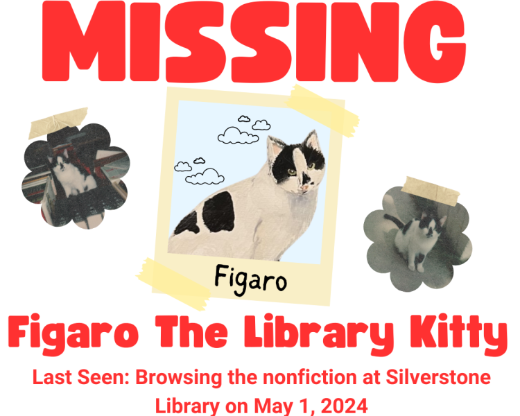 Missing poster with photographs of black and white cat named Figaro